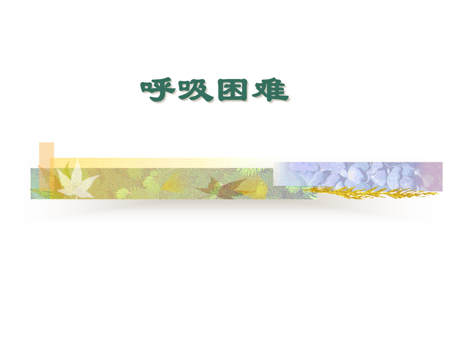 呼吸困难医疗.pptx_第1页