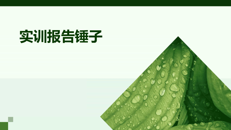 实训报告锤子.pptx_第1页