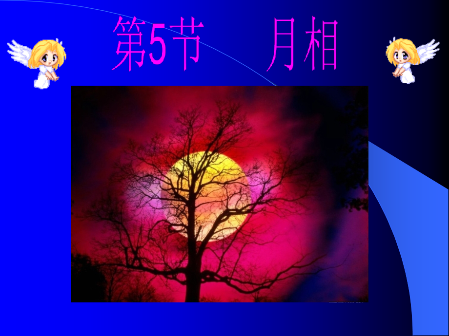 月球的各种圆缺形态.pptx_第1页