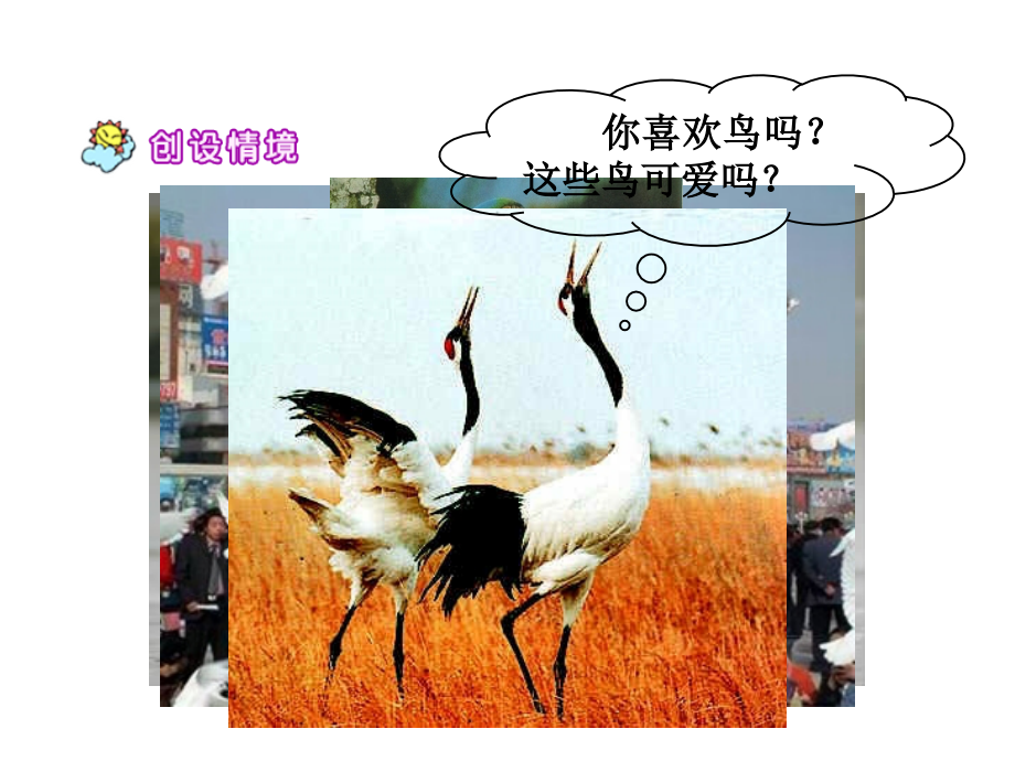 二年级语文上册第七组29父亲和鸟课件.ppt_第2页