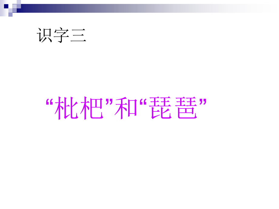 __枇杷和琵琶》课件3.ppt_第1页