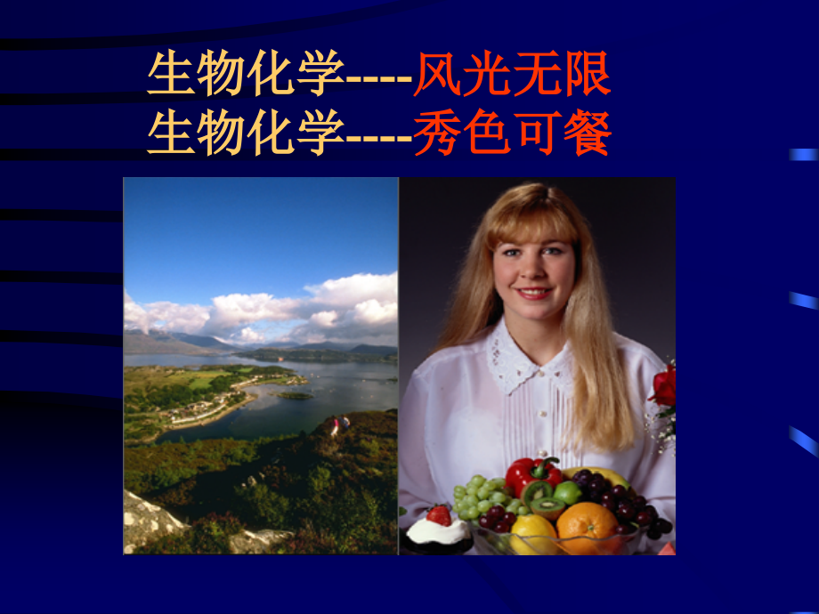 生物化学学时安排.pptx_第2页