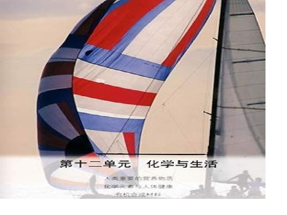 九年级化学人类重要的营养物质.pptx_第1页