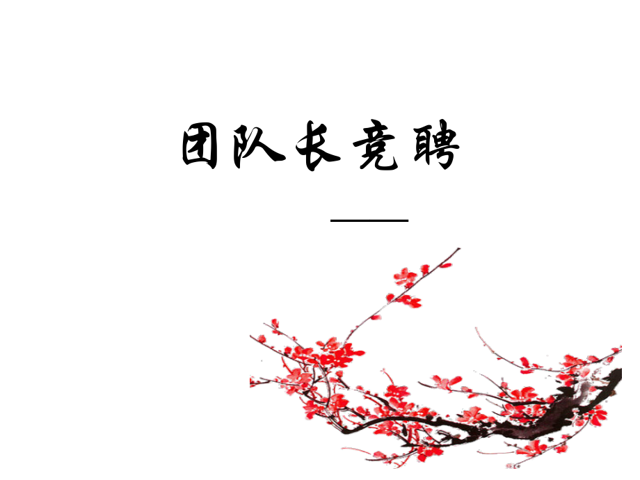 社区卫生服务中心团队长竞聘.pptx_第1页