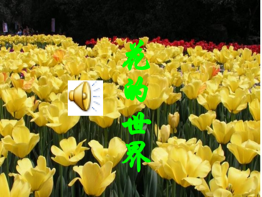 人教版三年级上册语文13课花钟.ppt_第1页