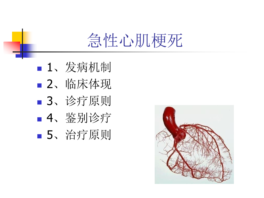 急性心肌梗死汇总资料.pptx_第2页
