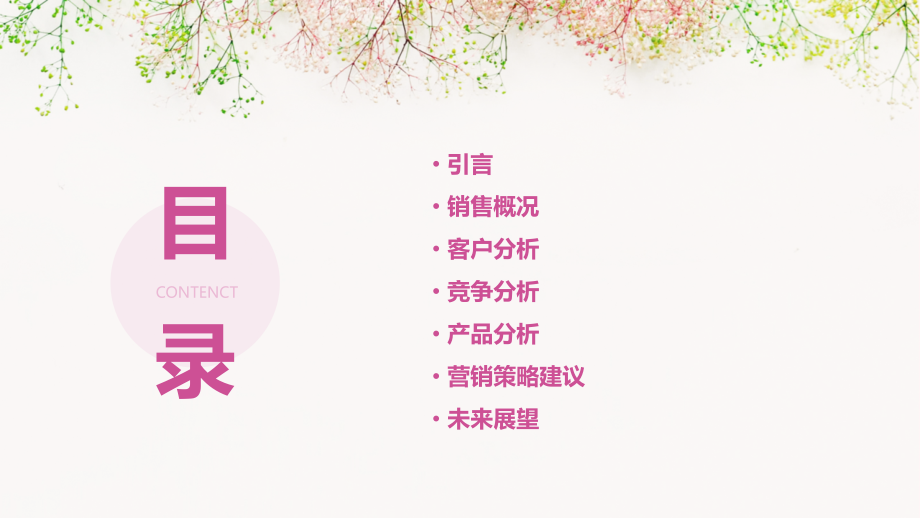药店销售报告分析.pptx_第2页