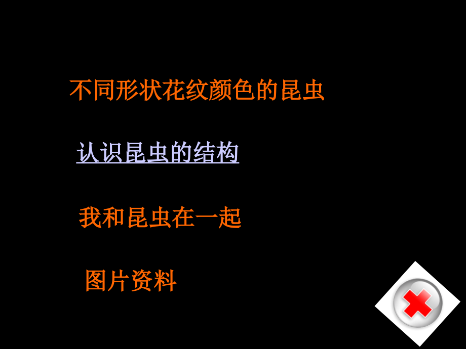 我和昆虫PPT.ppt_第2页