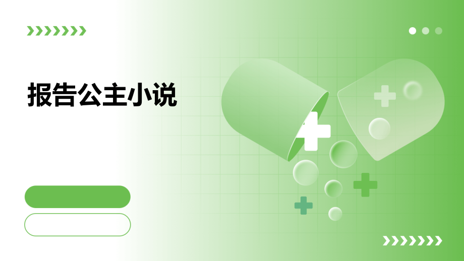 报告公主小说.pptx_第1页