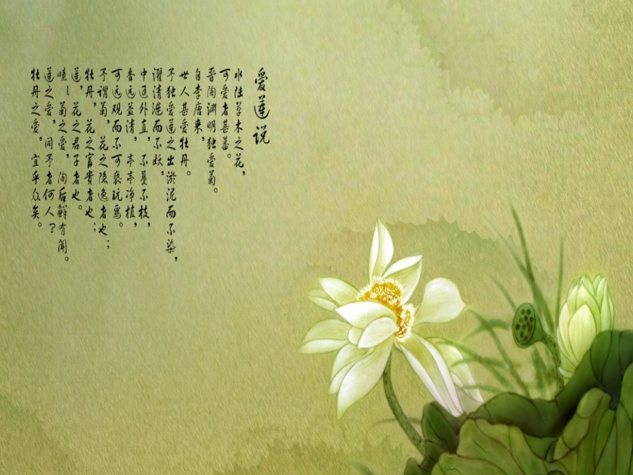 莲藕种植技术[1].ppt_第2页