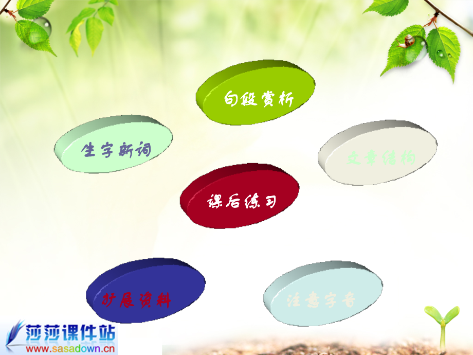 六年级《桃花心木》课件.ppt_第2页