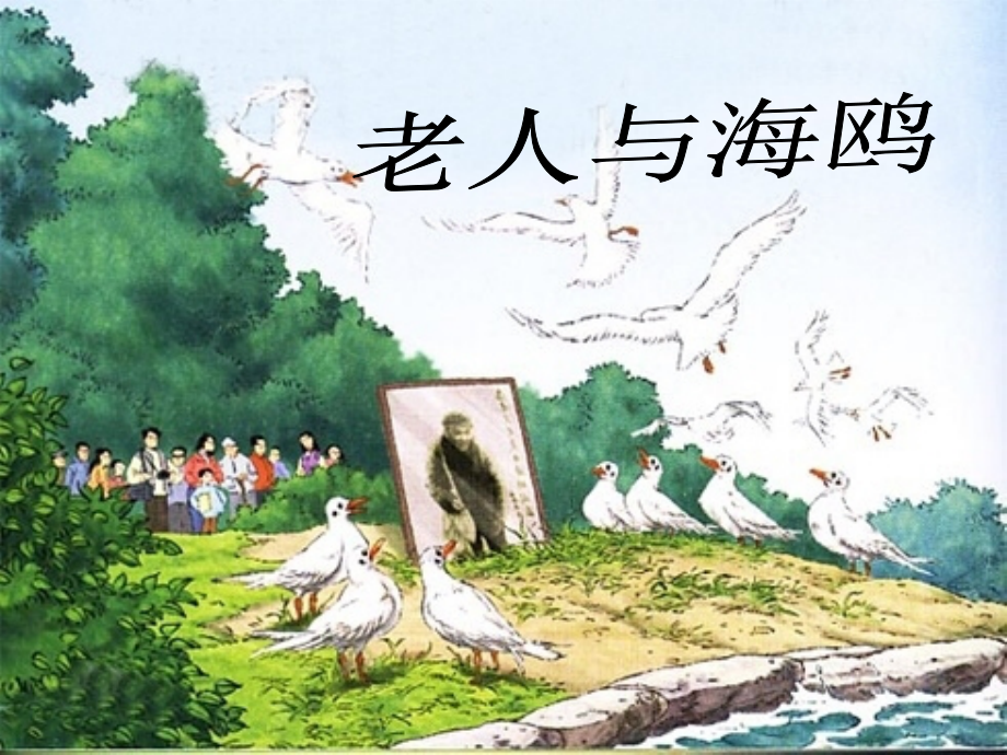 人教版六年级语文上学期老人与海鸥免费课件5.ppt_第1页