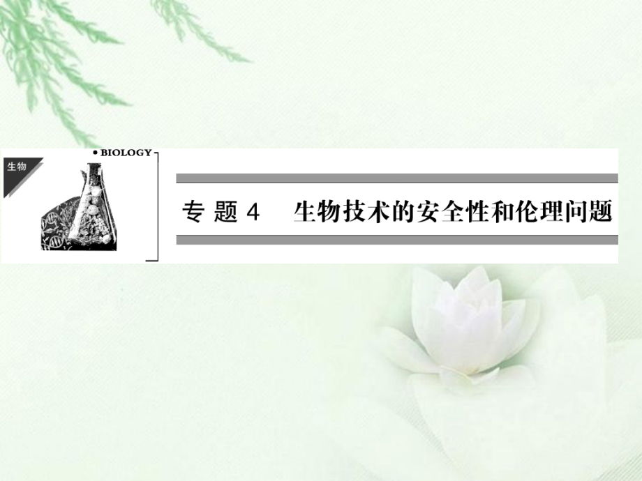 转基因生物的安全性.pptx_第1页