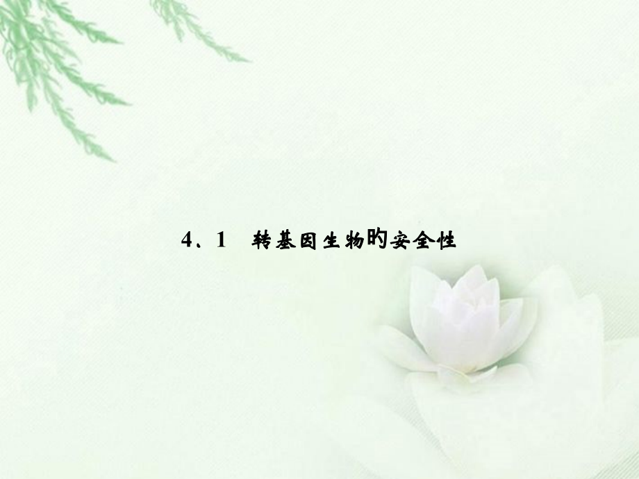 转基因生物的安全性.pptx_第2页