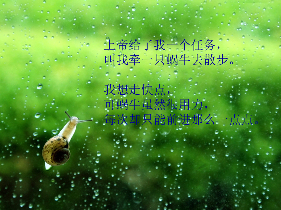 有一种教育叫做等待.ppt_第2页