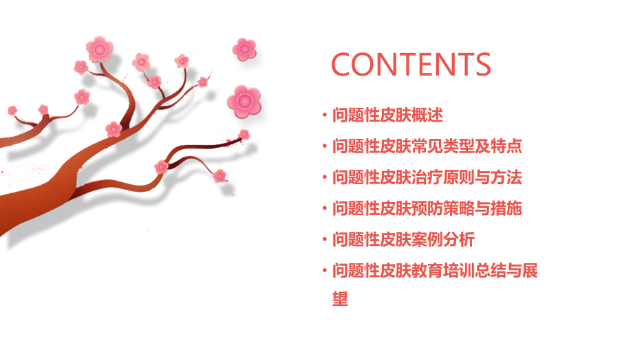 问题性皮肤教育培训课件.pptx_第2页