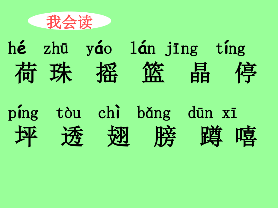 荷叶圆圆-黄瑞萍.ppt_第1页