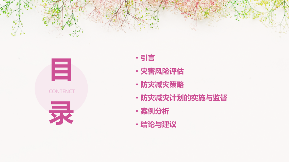 防灾减灾计划书.pptx_第2页