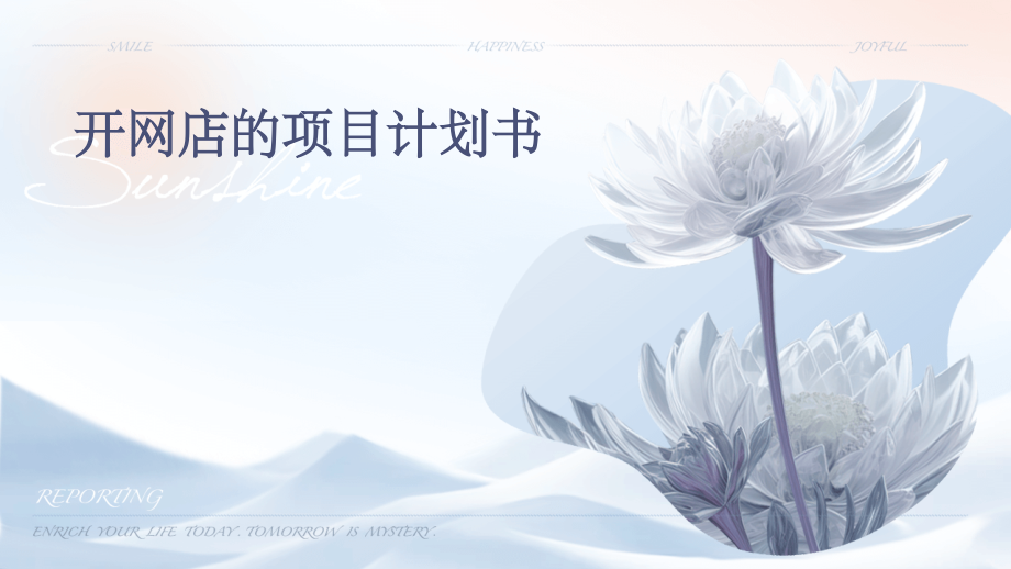 开网店的项目计划书.pptx_第1页