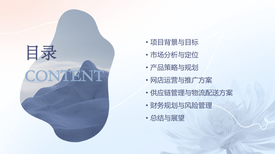 开网店的项目计划书.pptx_第2页