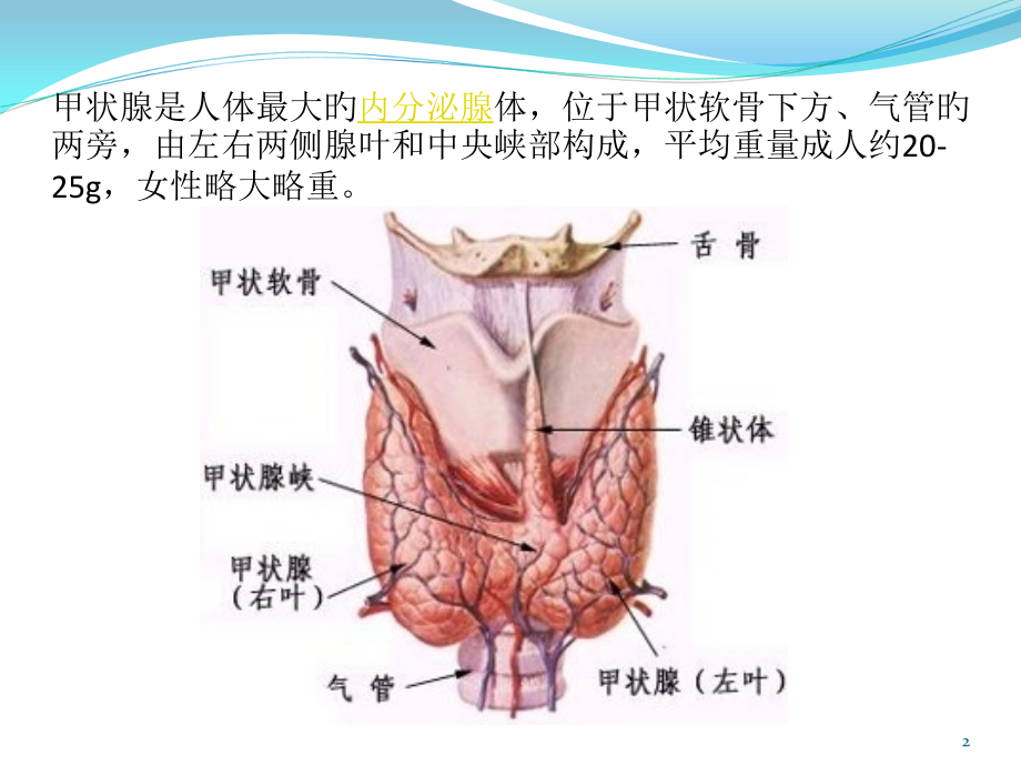腔镜甲状腺瘤术前术后护理.pptx_第2页