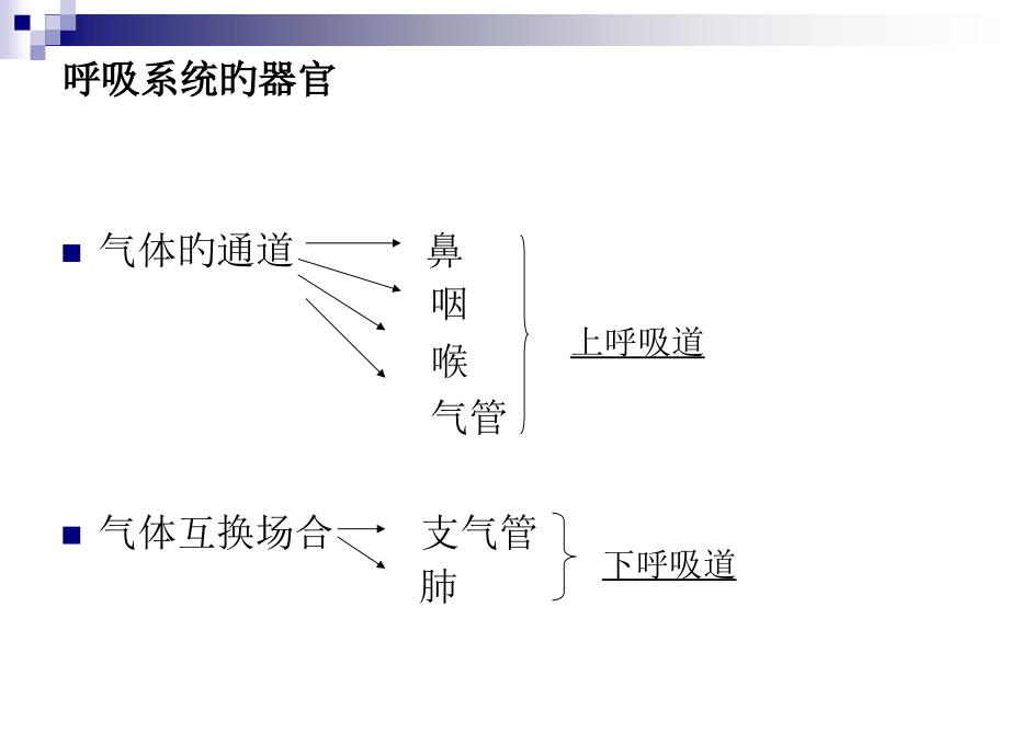 气管插管技术及气道管理.ppt_第1页