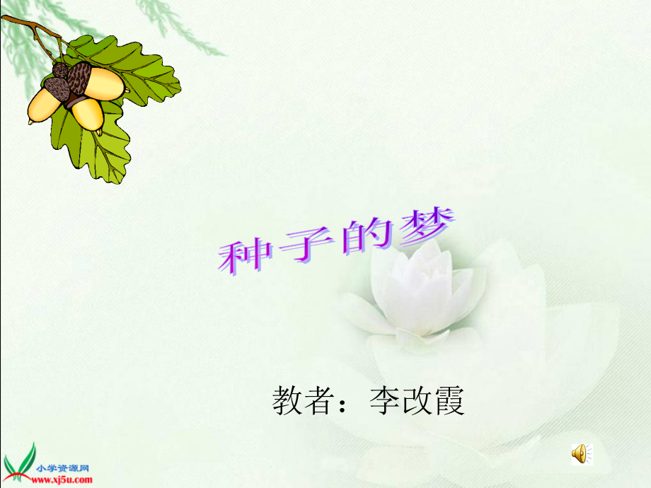 种子的梦课件（北师大版语文五年级下册）.ppt_第1页