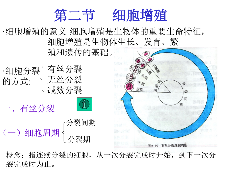 二2细胞增殖.ppt_第2页
