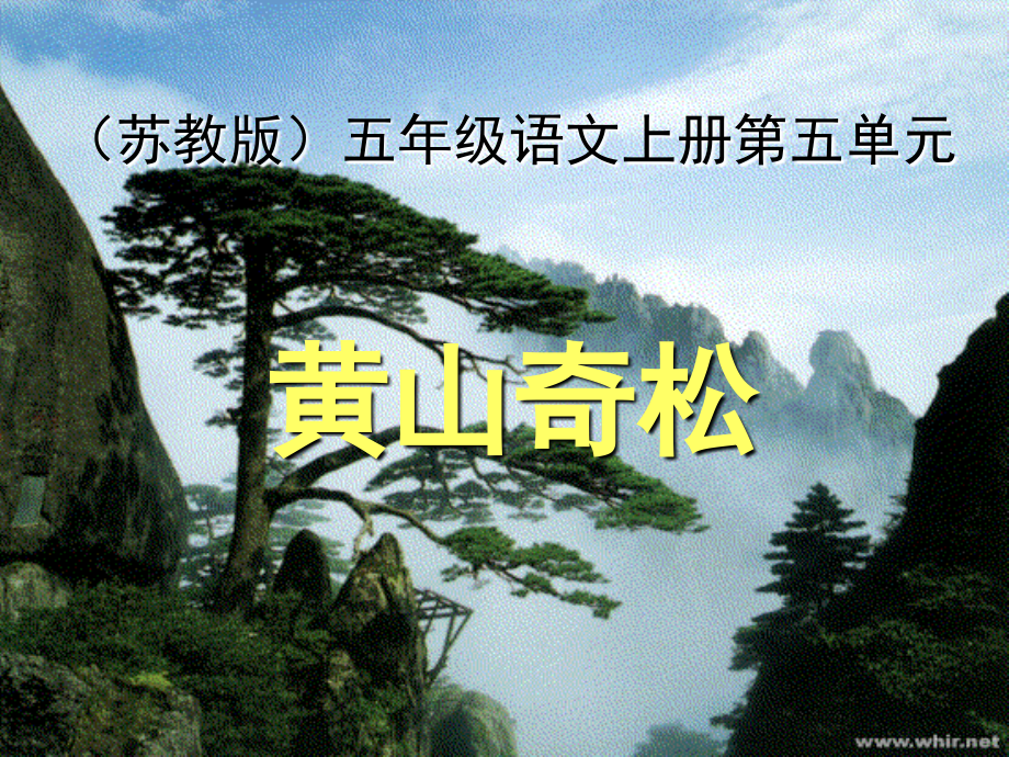 黄山奇松修订版.ppt_第1页