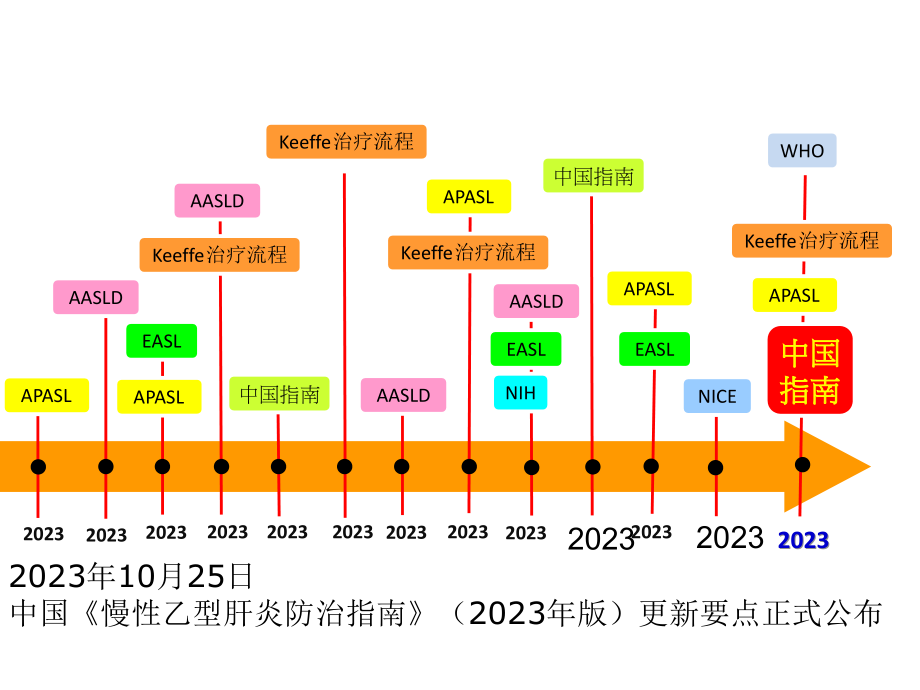 我国慢性乙型肝炎防治指南更新解读.pptx_第2页