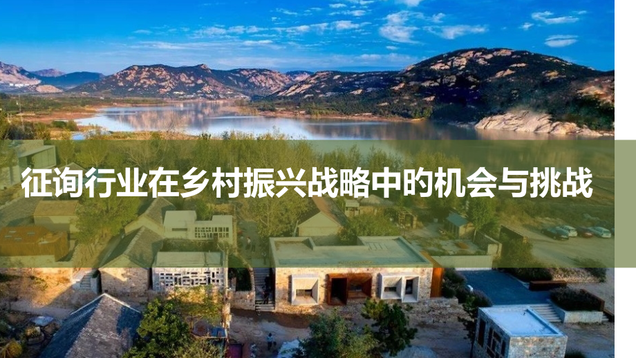 咨询行业在乡村振兴战略中的机会与挑战.pptx_第1页