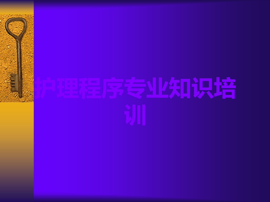 护理程序专业知识培训.ppt_第1页