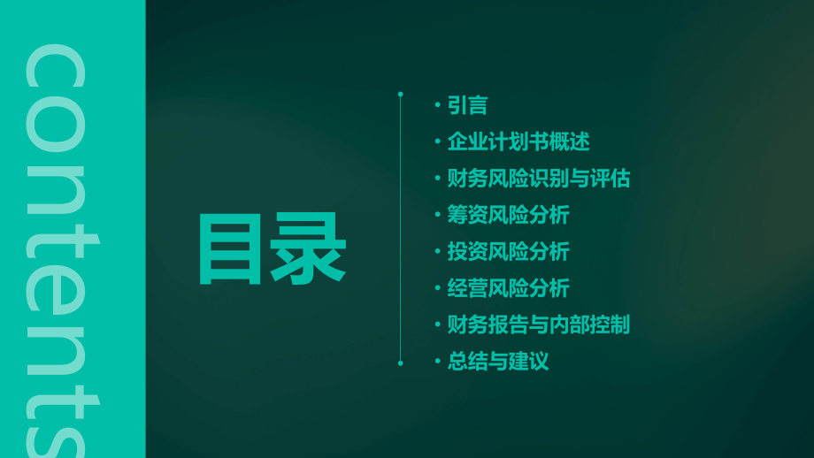 企业计划书的财务风险.pptx_第2页