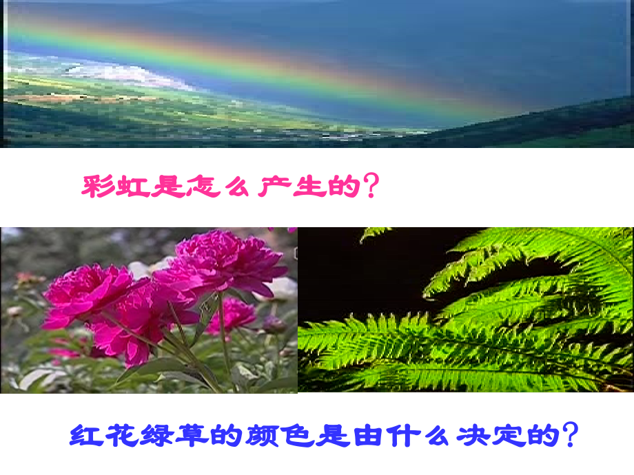 人教版八年级物理上册_光的色散PPT课件.ppt_第2页
