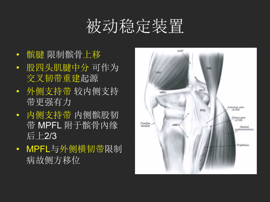 髌股关节不稳.ppt_第2页