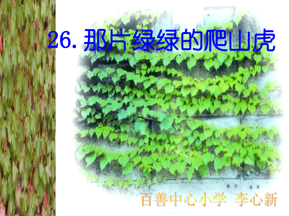 四年级《那片绿绿的爬山虎》课件.ppt_第1页