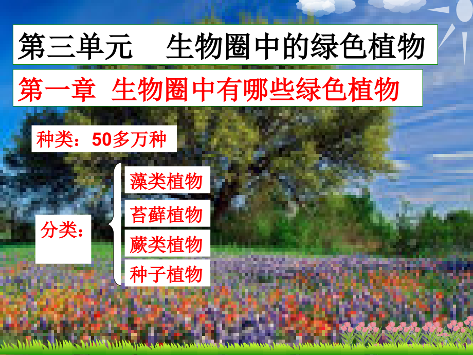 人教版生物七年级上册藻类苔藓与蕨类植物.ppt_第1页