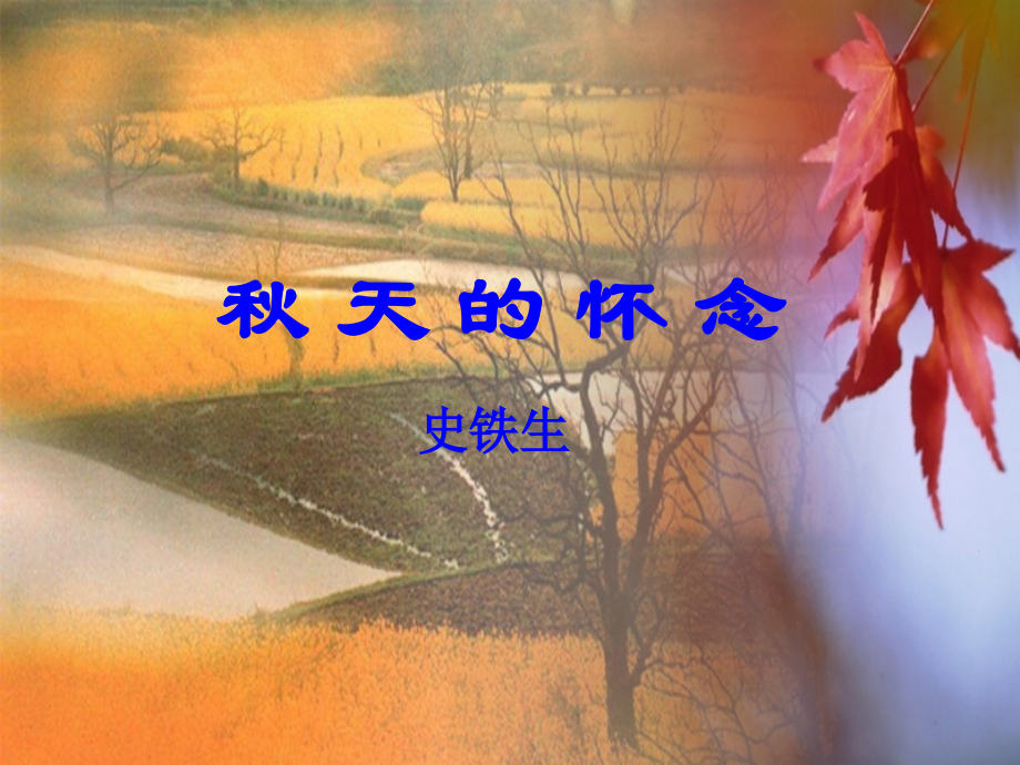 秋天大怀念.ppt_第1页