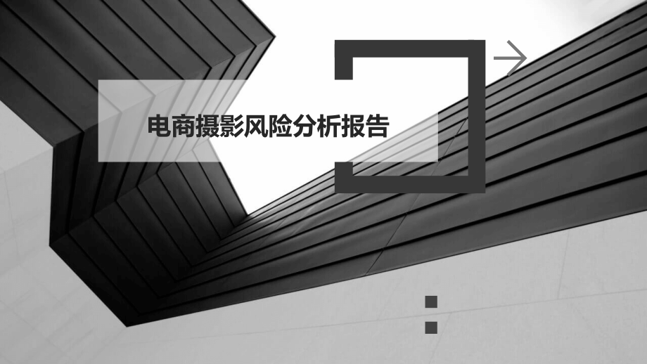 电商摄影风险分析报告.pptx_第1页