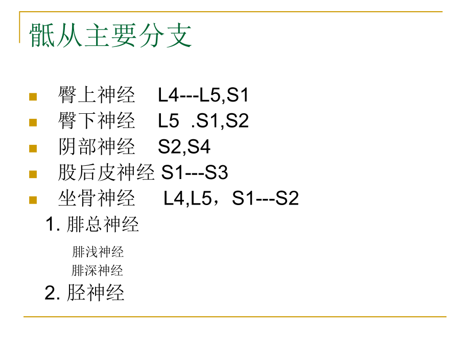 骶丛神经医疗.pptx_第2页