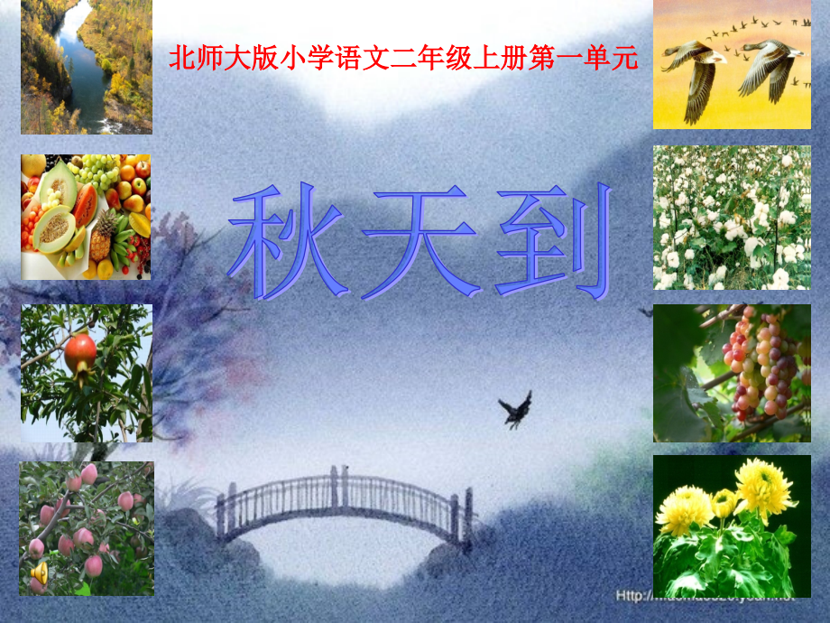 课件_秋天到.ppt_第1页