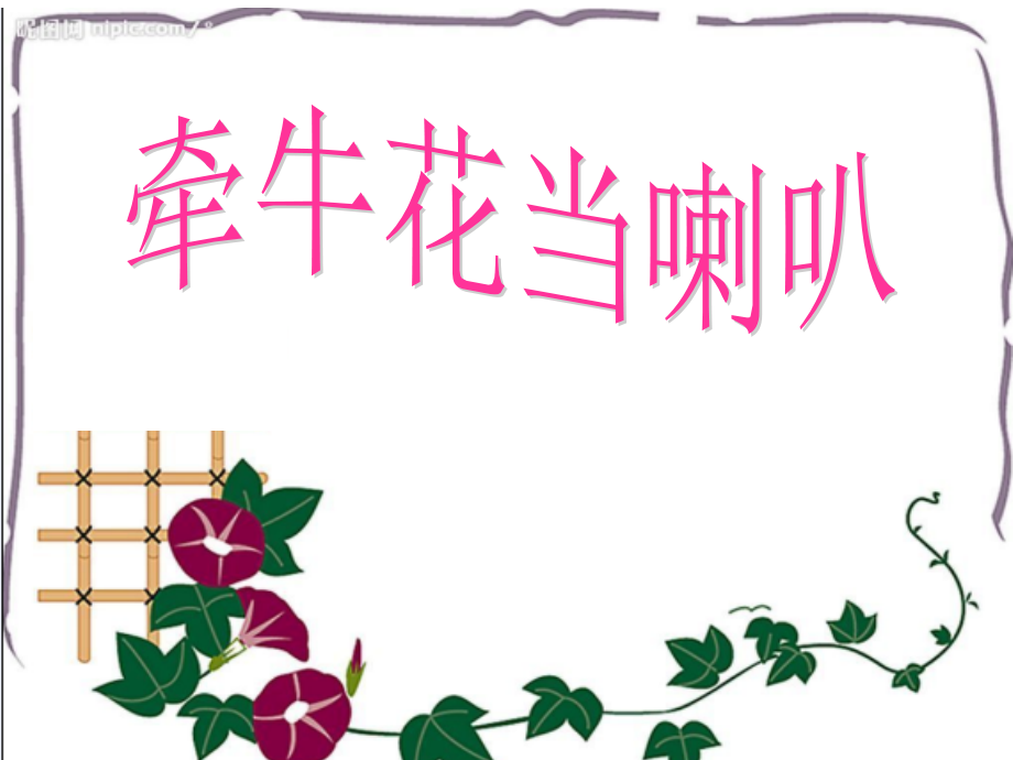 牵牛花当喇叭.ppt_第1页