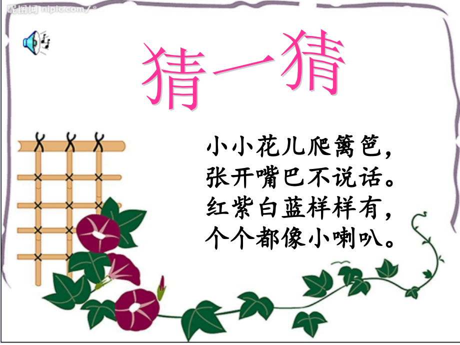 牵牛花当喇叭.ppt_第2页