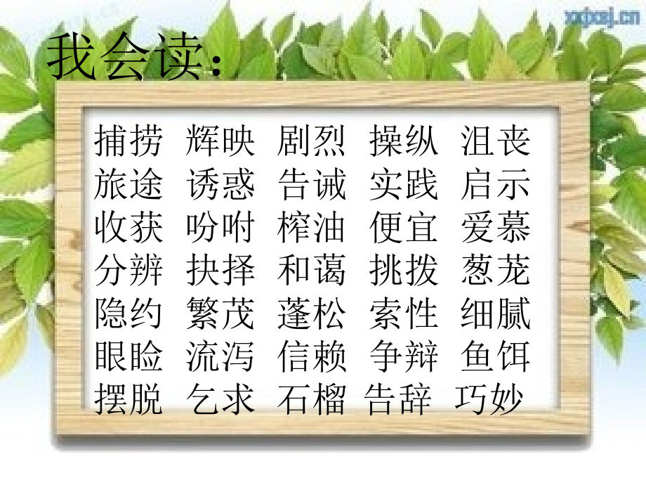 生活的启示第四组.ppt_第2页