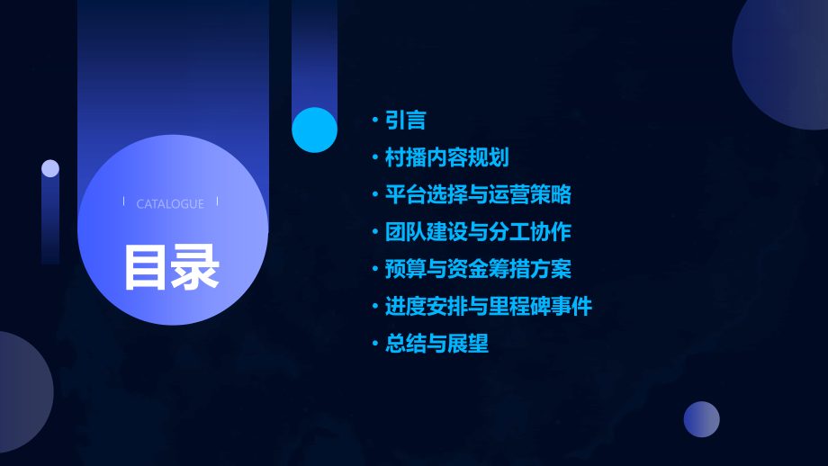 村播计划书.pptx_第2页