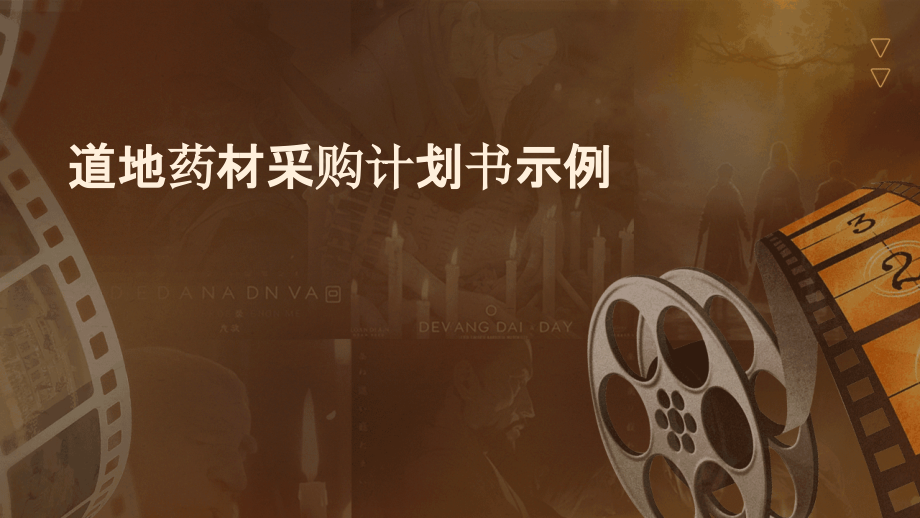 道地药材采购计划书示例.pptx_第1页