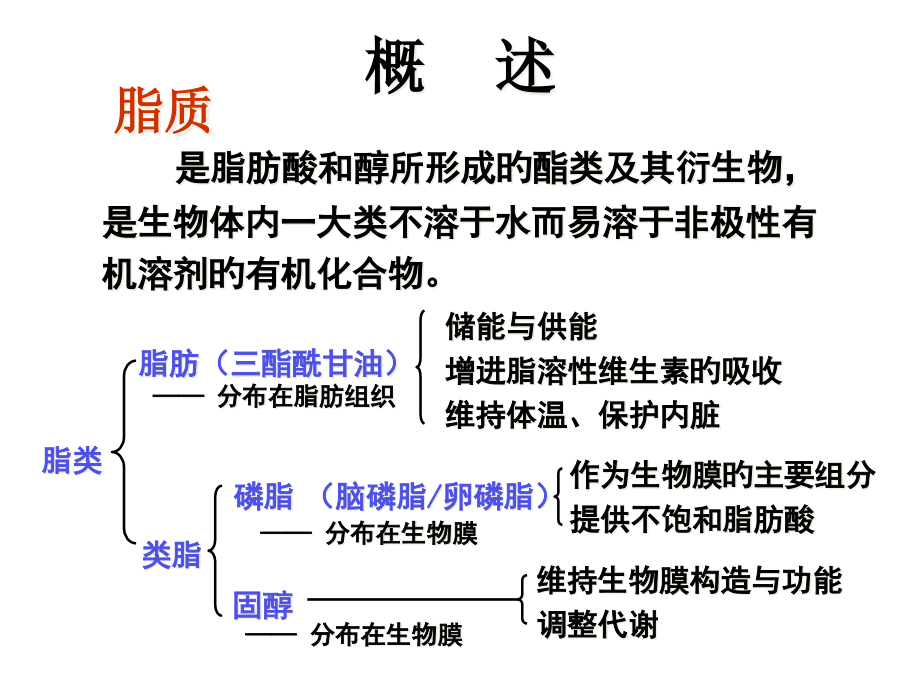 生物化学.pptx_第2页
