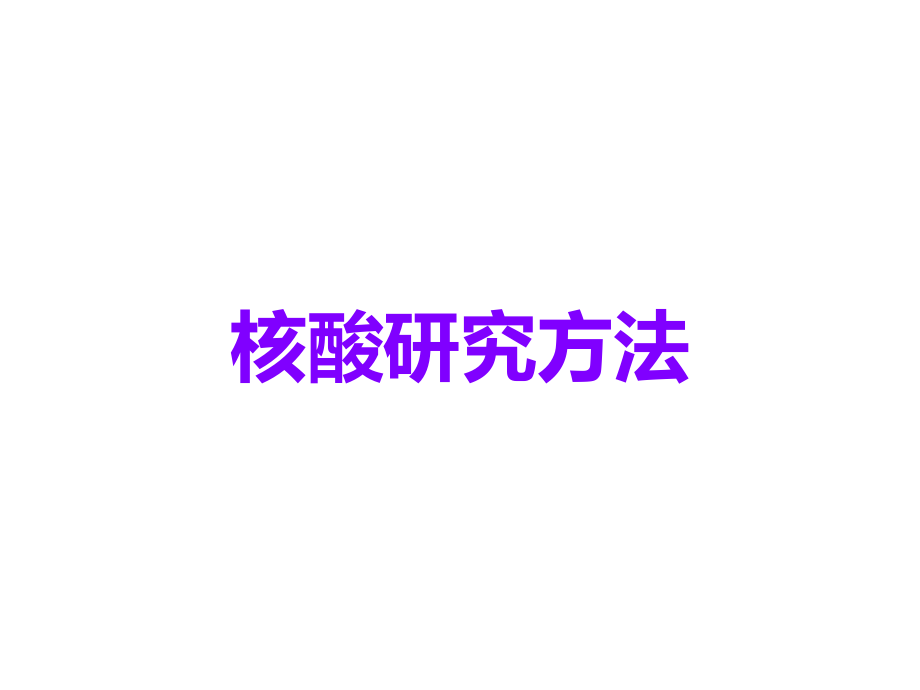 核酸研究方法.ppt_第1页