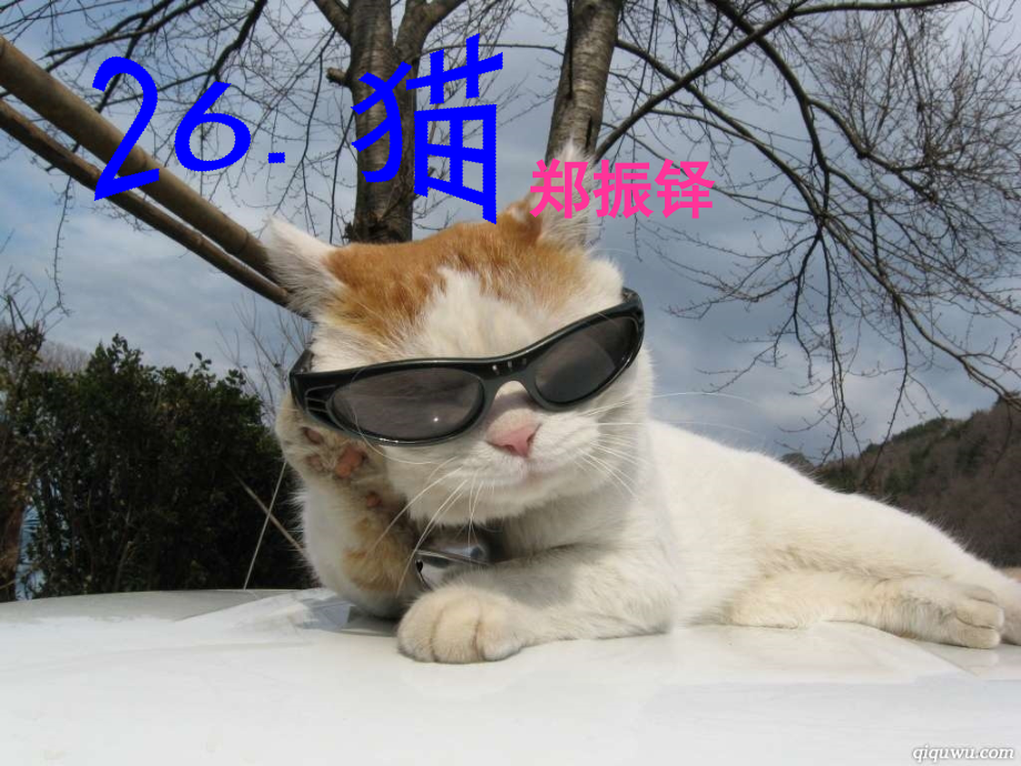 猫.猫-郑振铎定稿.ppt_第1页