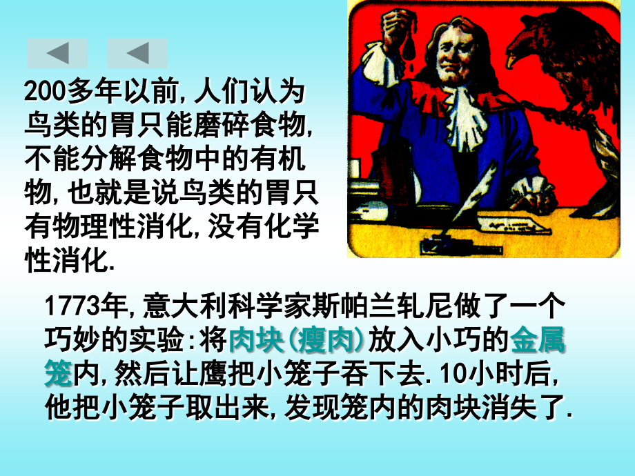 酶的作用和本质-(上).ppt_第2页